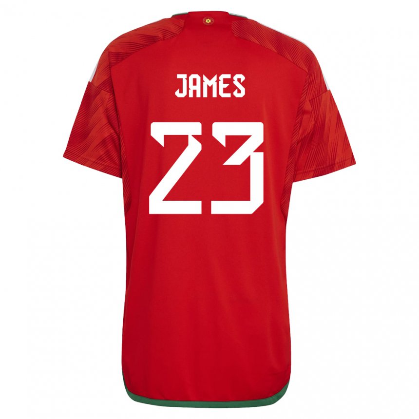 Męski Walii Jordan James #23 Czerwony Domowa Koszulka 22-24 Koszulki Klubowe