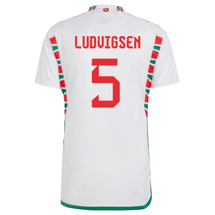 Męski Walii Kai Ludvigsen #5 Biały Wyjazdowa Koszulka 22-24 Koszulki Klubowe