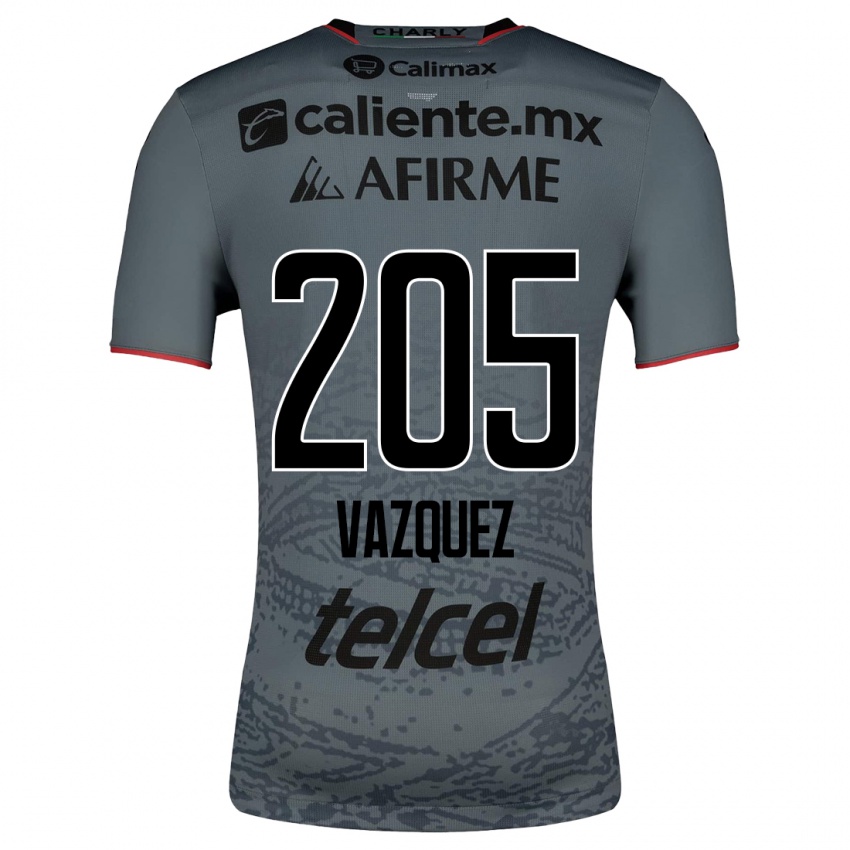 Męski Aldair Vázquez #205 Szary Wyjazdowa Koszulka 2023/24 Koszulki Klubowe